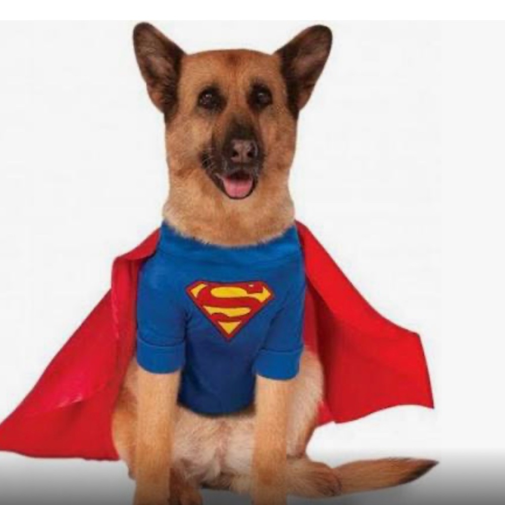 DC Comics Superman Halloween Pet Dog Costume Large